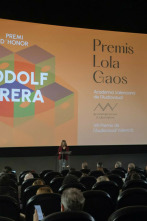 Imagen de Premis Lola Gaos - Premis de l'Audiovisual 2025 - 2