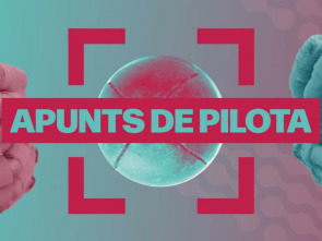 Imagen de Apunts de Pilota - 1