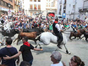 Imagen de Entrada de Bous i Cavalls de Cheste - 1