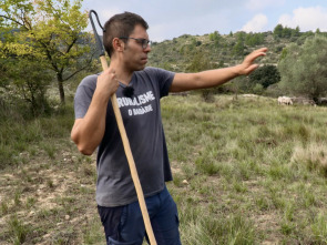 Imagen de De mar i bancal: Visites no desitjades - 1