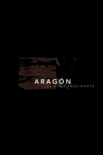 Imagen de Aragón, el viaje fascinante - 3