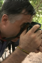 Imagen de Vidas minadas - 2