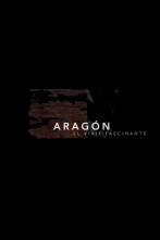 Imagen de Aragón, el viaje fascinante - 2