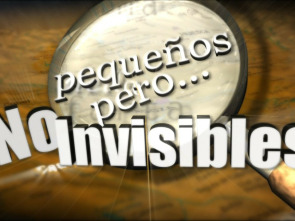 Imagen de Pequeños, pero no invisibles - 1