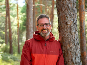El bosque encantado: EL Pinar de Daroca (Zaragoza)