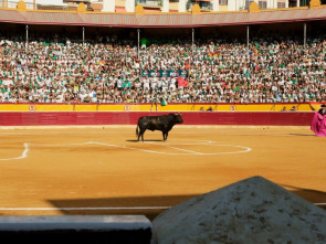 Imagen de Feria Taurina de la Albahaca, Huesca 2025 - 1