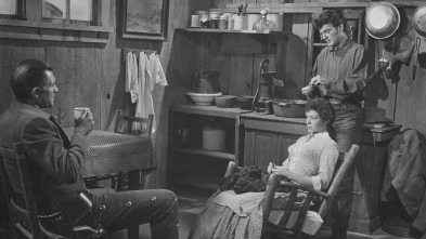 Imagen de Dinero, mujeres y armas - 3