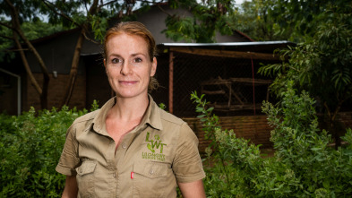 Imagen de Centro de rescate en...: La gran persecución - 3