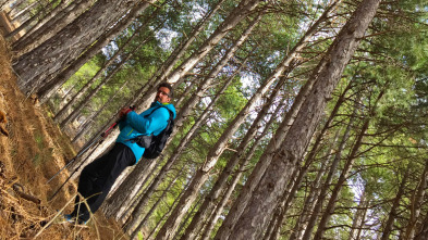 Imagen de Chino chano (T2018): Al Puerto de las Aras desde Vilas del Turbón - 3