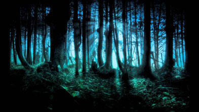 Imagen de Maigret (T2) - 3