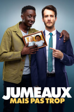 Imagen de Gemelos, pero no tanto - 2