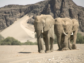 Imagen de El reino del desierto de Namibia - 1