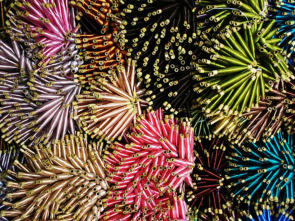 Imagen de Los años brillantes: El aroma de indias - 1