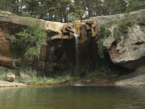 Imagen de Chino chano (T2022): Circular en Pineta - 1
