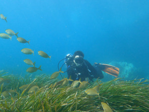 Imagen de El olvido del mar - 1