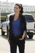 Imagen de Rizzoli & Isles (T6): Ep.9 Palmaditas cariñosas - 2