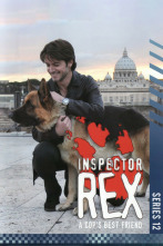 Imagen de Rex, un policía... (T12): Ep.11 La última partida - 2
