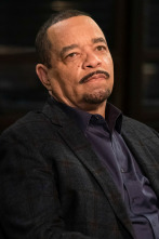 Imagen de Ley y orden:... (T22): Ep.6 El largo brazo del testigo - 2