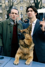 Imagen de Rex, un policía diferente (T1) - 2