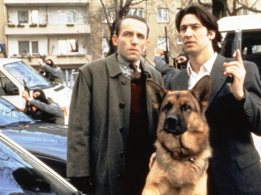 Imagen de Rex, un policía... (T11): Ep.8 Lejos de aquí - 1