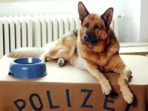 Imagen de Rex, un policía... (T12): Ep.3 La escuela del miedo - 1