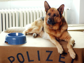 Imagen de Rex, un policía... (T7): Ep.11 Cadena de amor - 1