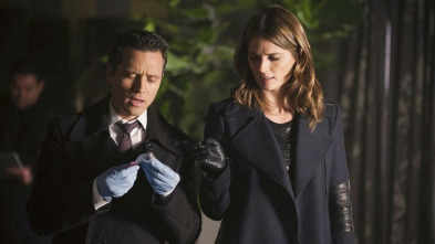 Imagen de Castle (T7): Ep.11 Castle, investigador privado - 5