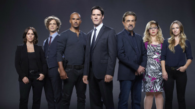 Imagen de Mentes criminales (T10): Ep.12 Anónimo - 3