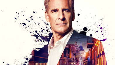 Imagen de NCIS: Nueva Orleans (T1) - 3