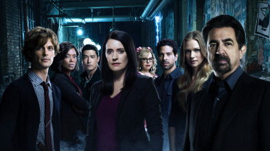 Imagen de Mentes criminales (T13): Ep.1 Despegamos - 7