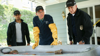 Imagen de Navy:... (T16): Ep.8 Fuego amigo - 5