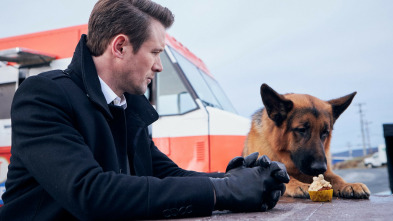 Imagen de Hudson y Rex (T1): Ep.1 La Caza - 3