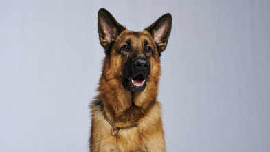 Imagen de Hudson y Rex (T2) - 5