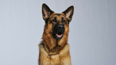 Imagen de Hudson y Rex (T2): Ep.13 Llamarada Canina - 8
