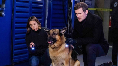 Imagen de Hudson y Rex (T4): Ep.12 Ningún hombre es una isla - 5