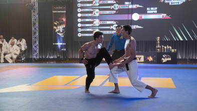 Imagen de Cobra Kai (T4): Ep.10 El ascenso - 8