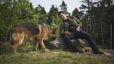 Imagen de Hudson y Rex (T8): Ep. Hudson & Rex (8): Ep 810 - 7