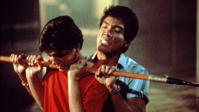 Imagen de Karate Kid II: la historia continúa - 4