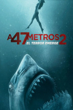 Imagen de A 47 metros 2: El terror emerge - 6