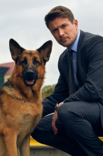 Imagen de Hudson y Rex (T1): Ep.1 La Caza - 2