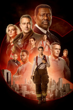 Imagen de Chicago Fire (T11) - 6