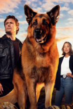 Imagen de Hudson y Rex (T7): Ep.6 Muerte Entre Abejas - 4