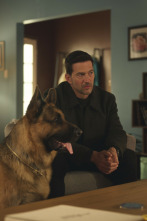 Imagen de Hudson y Rex (T8): Ep. Hudson & Rex (8): Ep 810 - 6