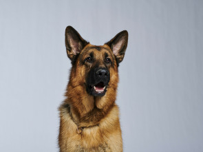 Imagen de Hudson y Rex (T2) - 3