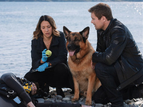 Imagen de Hudson y Rex (T3): Ep.4 Bajo presión - 6