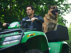 Imagen de Hudson y Rex (T8): Ep.7 Rex Criminal - 5