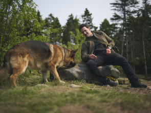 Imagen de Hudson y Rex (T8): Ep. Hudson & Rex (8): Ep 812 - 5