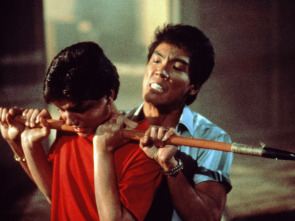 Imagen de Karate Kid II: la historia continúa - 2