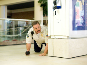 Imagen de Superpoli de centro comercial - 5