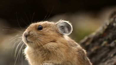 Imagen de Recorriendo el mundo  - 3